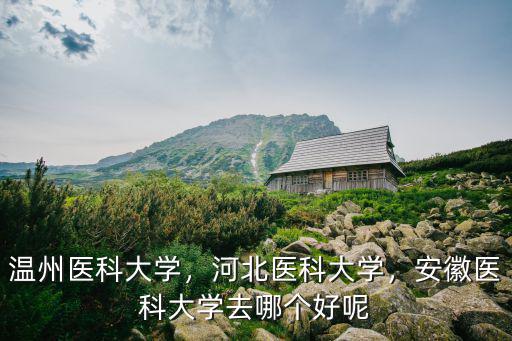 溫州醫(yī)科大學(xué)需要多少分,河北醫(yī)科大學(xué)