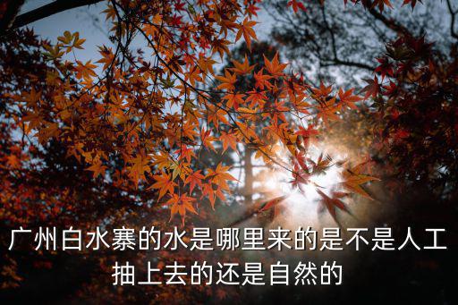 廣州白水寨水庫(kù)在哪里,廣州增城區(qū)哪里最好玩
