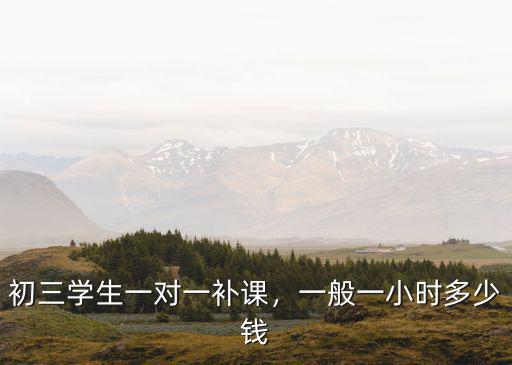 深圳一對一輔導費多少錢,初三學生一對一補課