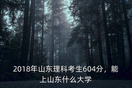 山東理科考生多少分能上哈工大,山東理科考生