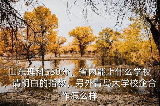 青島大學(xué)校企合作多少分,山東理科580分