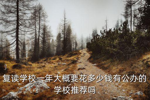復讀學校一年大概要花多少錢有公辦的學校推薦嗎