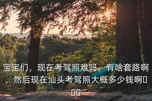 現在在汕頭澄海做滴滴怎么樣,在汕頭有開滴滴的人嗎