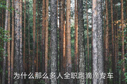 為什么那么多人全職跑滴滴專車