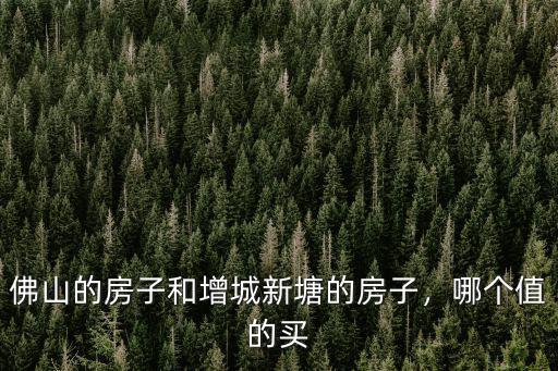 佛山最窮的地方在哪里,佛山哪里最窮