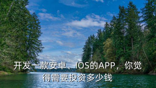 開發一款安卓、IOS的APP，你覺得需要投資多少錢