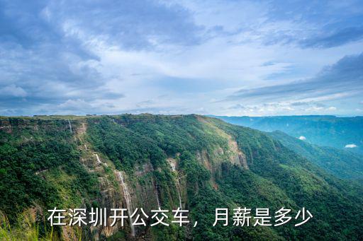 在深圳開公交車，月薪是多少