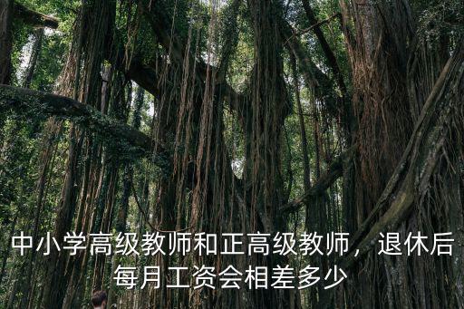 濟寧中學高級教師退休工資大約多少,退休后每月工資會相差多少
