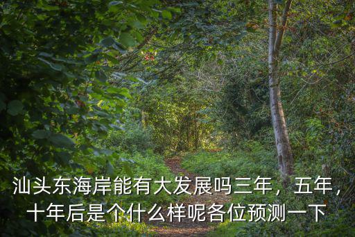 汕頭東海岸能有大發展嗎三年，五年，十年后是個什么樣呢各位預測一下
