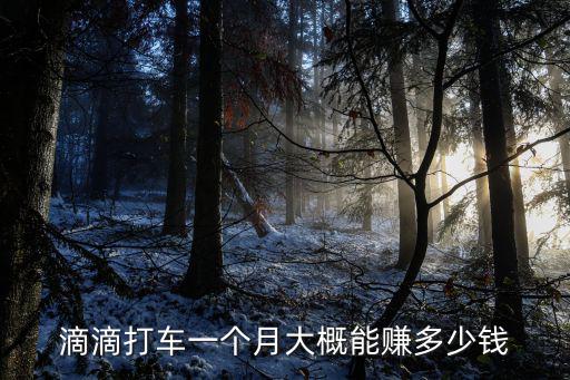 滴滴打車一個月大概能賺多少錢