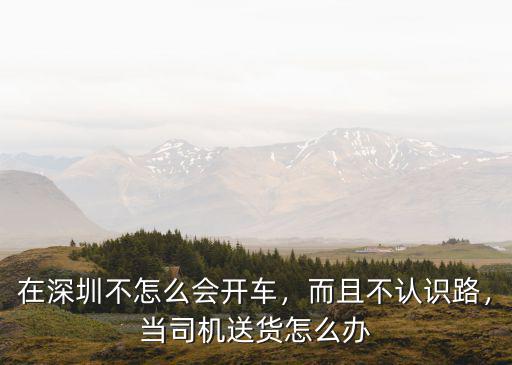 在深圳送貨司機怎么樣,在深圳租車拉貨怎么樣