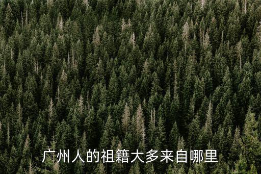 羅比尼奧廣州哪里人,羅比尼奧離開廣州恒大之后
