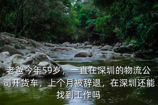 老爸今年59歲，一直在深圳的物流公司開貨車，上個月被辭退，在深圳還能找到工作嗎