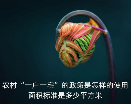 濟(jì)南商河一戶一宅政策是多少平米,農(nóng)村實(shí)行一戶一宅