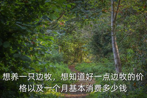 想養一只邊牧，想知道好一點邊牧的價格以及一個月基本消費多少錢