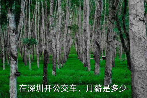 在深圳開公交車，月薪是多少
