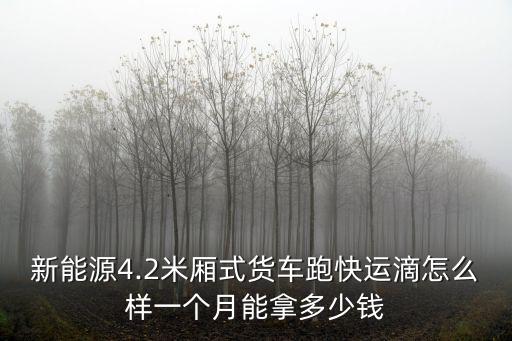新能源4.2米廂式貨車跑快運滴怎么樣一個月能拿多少錢