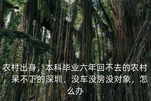 農村出身，本科畢業六年回不去的農村，呆不下的深圳，沒車沒房沒對象，怎么辦