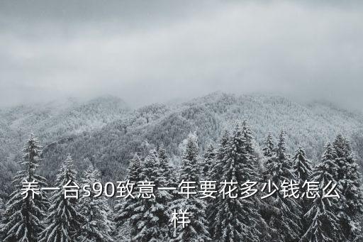 在深圳養(yǎng)一臺車要花多少錢,在深圳養(yǎng)一輛車