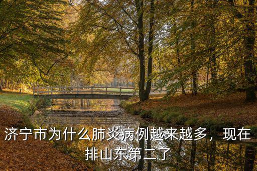 山東有多少肺炎呢,山東為什么這么多冠狀肺炎