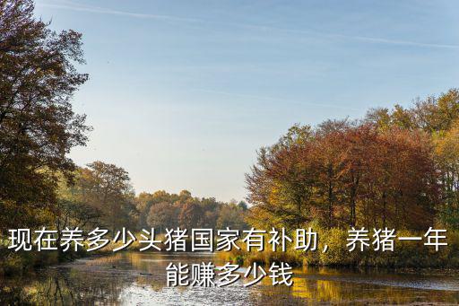 汕尾養豬補貼多少錢每頭,養豬一年能賺多少錢