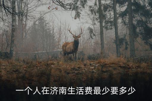 濟(jì)南淺深消費(fèi)多少錢,在濟(jì)南多少錢能活的很好