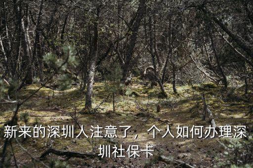 愛歌的人怎么在深圳辦社保卡,個人如何辦理深圳社?？?/></a></span><span id=