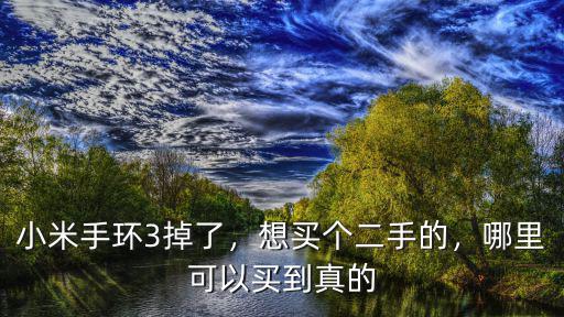 惠州小米手環(huán)在哪里買,小米手環(huán)3掉了