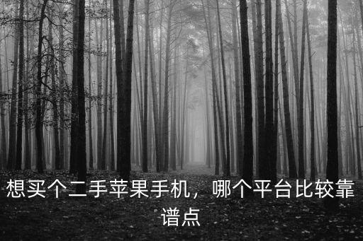 廣州在哪里可以買到二手蘋果手機(jī),哪兒買二手蘋果手機(jī)靠譜些