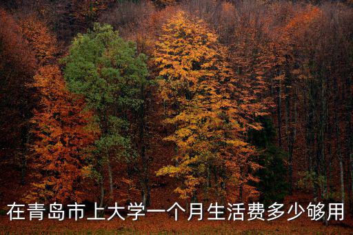 在青島市上大學(xué)一個(gè)月生活費(fèi)多少夠用