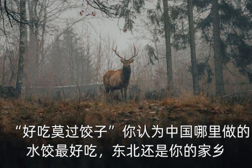 廣東哪里的水餃最好吃,東北還是你的家鄉