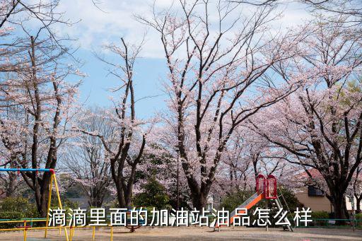 廣州加油站的油怎么樣,廣州首家外資加油站開業