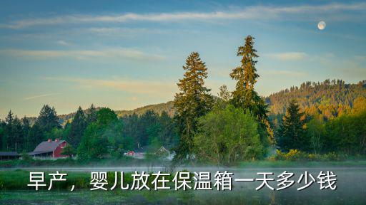 早產，嬰兒放在保溫箱一天多少錢