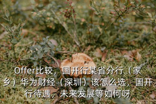 Offer比較，國開行某省分行（家鄉）華為財經（深圳）該怎么選，國開行待遇，未來發展等如何呀