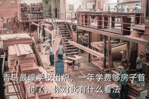 青島寄宿學(xué)校小學(xué) 學(xué)費(fèi)多少,一年學(xué)費(fèi)夠房子首付了