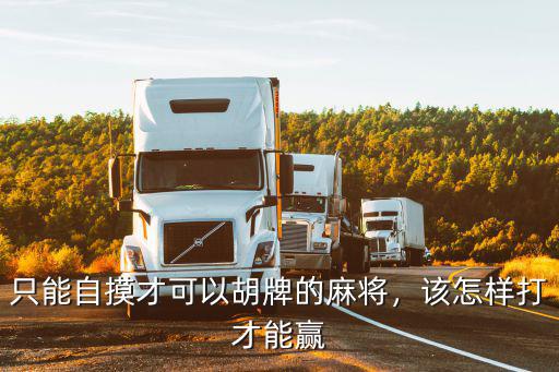 廣州麻將賴子怎么打,廣州麻將怎么打