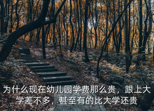 為什么現在幼兒園學費那么貴，跟上大學差不多，甚至有的比大學還貴