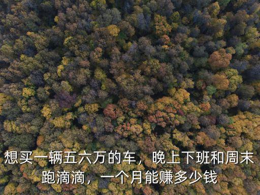想買一輛五六萬的車，晚上下班和周末跑滴滴，一個月能賺多少錢