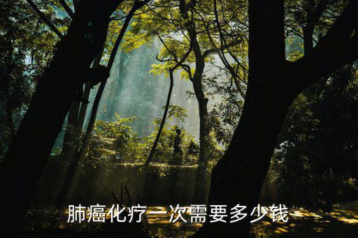 廣州化療需要多少錢,肺癌化療一次需要多少錢