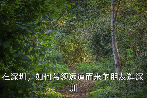 朋友從深圳來(lái) 怎么辦,朋友第一次來(lái)深圳