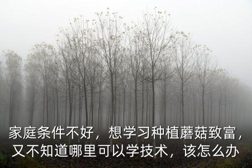 深圳哪里可以學習蘑菇種植技術,在哪里可以學習香菇種植技術
