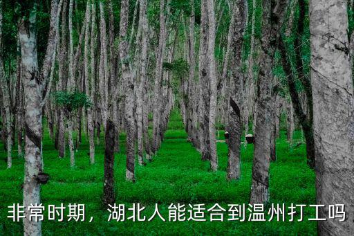 非常時期，湖北人能適合到溫州打工嗎