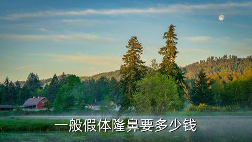 一般假體隆鼻要多少錢