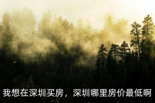 我想在深圳買房，深圳哪里房價最低啊