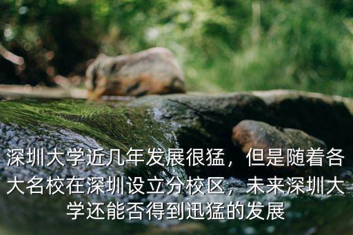 深圳政府給深圳大學投資多少錢,深圳大學前景怎么樣
