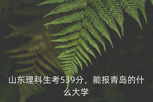 山東理科生考539分，能報青島的什么大學