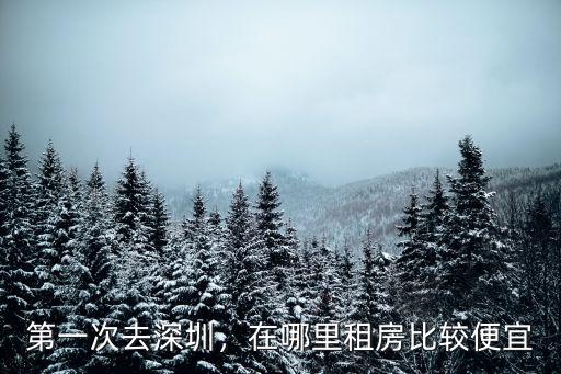 深圳第一次去哪里,第一次去深圳