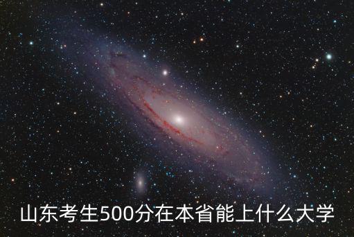 山東考生500分在本省能上什么大學
