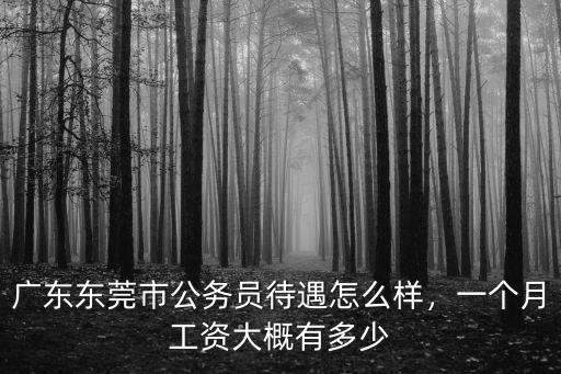 廣東排長一個月工資多少,廣東東莞市公務員待遇怎么樣