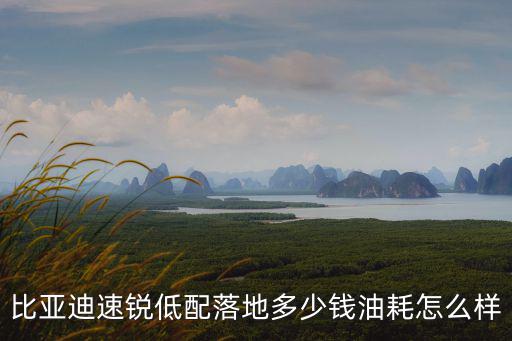 比亞迪速銳低配落地多少錢油耗怎么樣